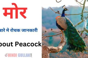 About peacock in hindi